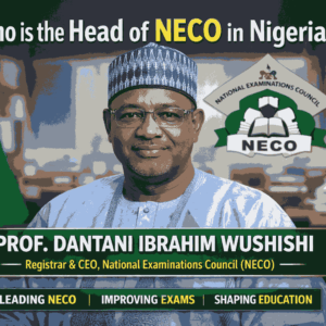 Who Is The Head Of Neco In Nigeria